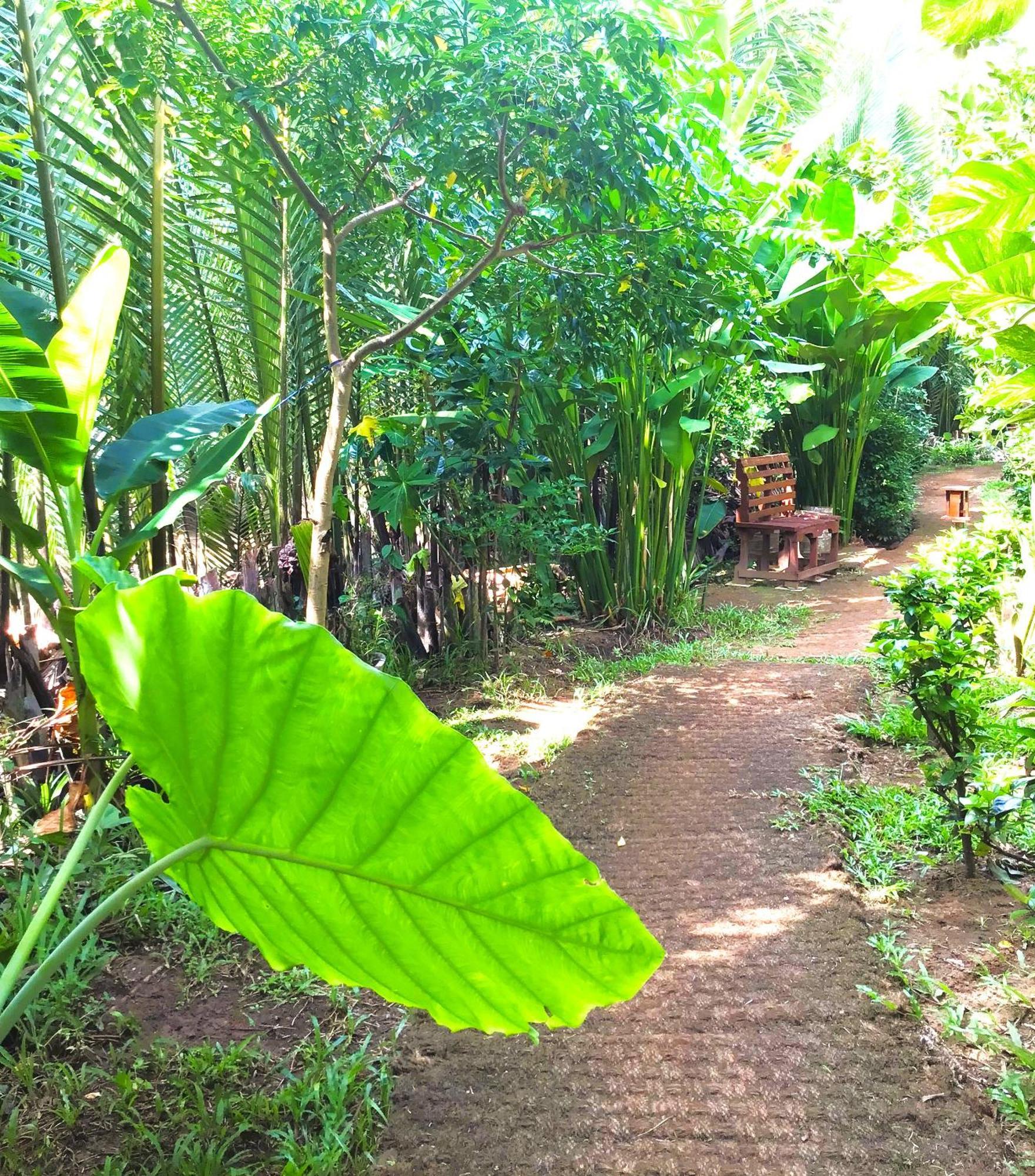 本特瑞农家乐 Ben Tre 外观 照片