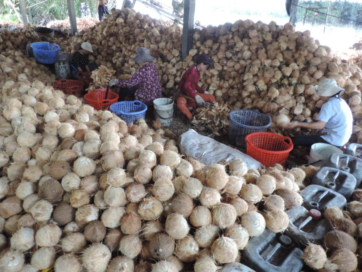 本特瑞农家乐 Ben Tre 外观 照片